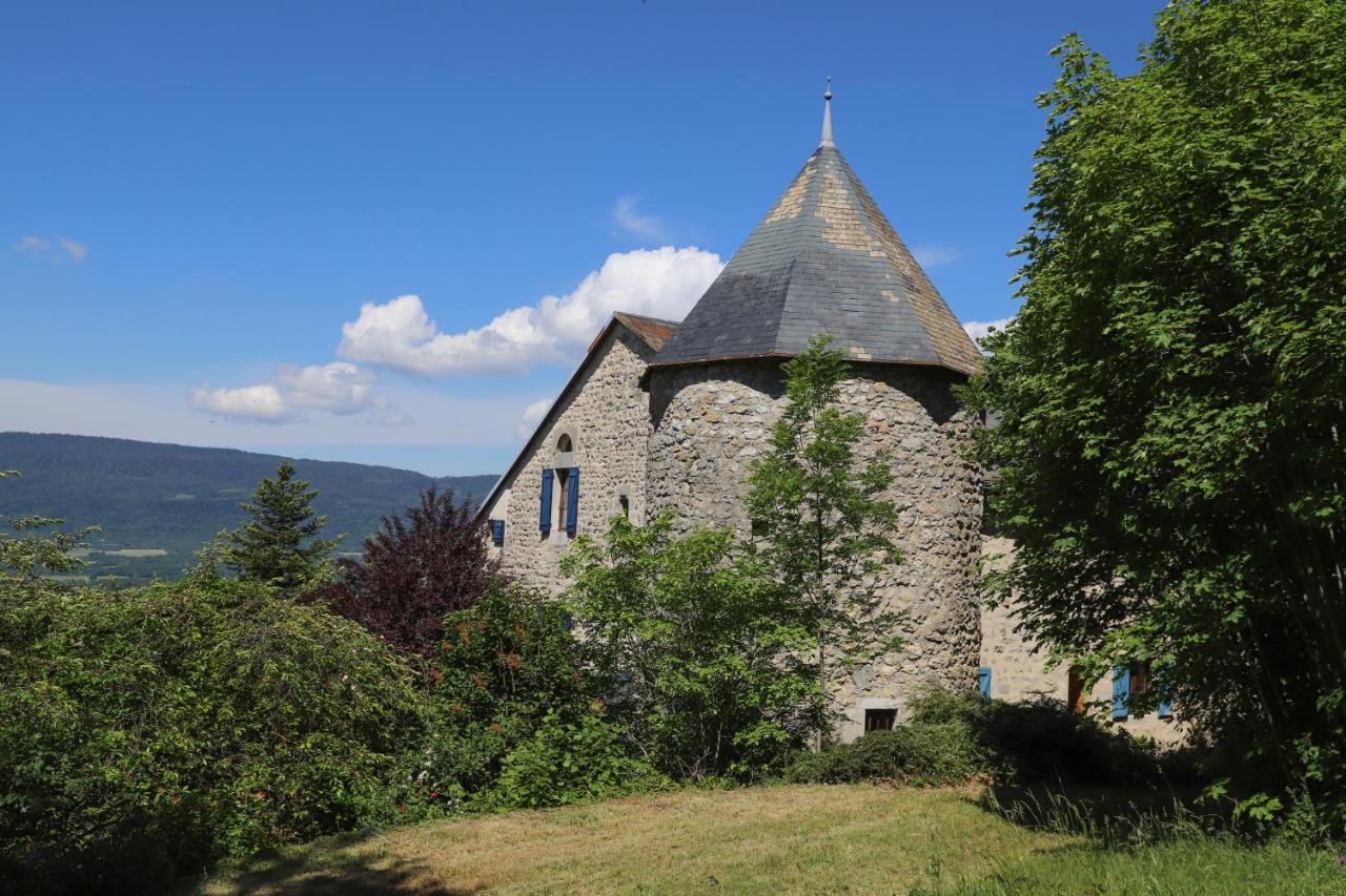 Chateau De Sothonod Zewnętrze zdjęcie